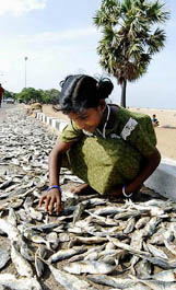 A girl of fisherman community