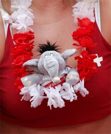 A Switzerland team fan