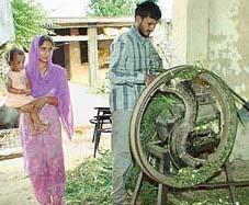 Antaryami cutting fodder in Dehlan, Una