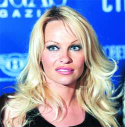 Actress Pamela Anderson, always game to ruffle a few feathers in the name of mistreated fowl, has lent her famous face to a billboard campaign calling for a boycott of the KFC chain of chicken restaraunts. The billboards, which were created by People for Ethical treatment of Animals, feature a photo of the television star next to the words: �Boycott KFC� Pamela Anderson.� 