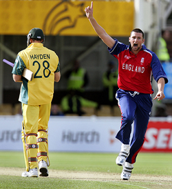 England's Stephen Harmison celebrates the dismissal of Australia's Matthew Hayden