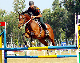 One of India�s top riders, Major Deep Ahlawat of the Remount and Veterinary Corps, in action during the preliminaries of the Chandigarh Horse Show, which began in the city on Wednesday