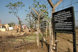 Nearly 40 persons live in houses just on the edge of the boundary wall of the ammunition depot at Surra Pind in Jalandhar.