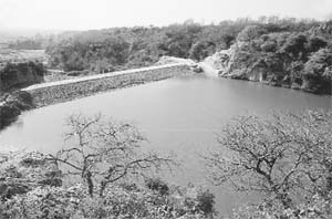 The dam in Bharouli village that has changed the rural economics. With the abundance of water, the village has diversified to vegetable seed cultivation and seed companies have entered into contract with the farmers.