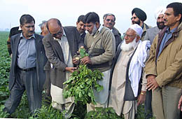 A delegation of Pakistani potato growers interacts with its Indian counterparts about latest seeds of potato at a farm near Jalandhar on Thursday.