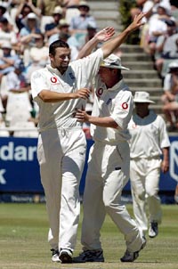 England bowler Steve Harmison celebrates with team-mates after taking the wicket of South African batsman AB de Villiers for 10 runs