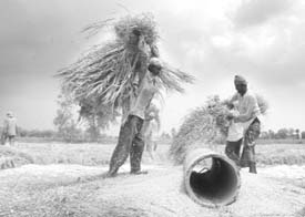 Most Indians depend upon agriculture and they have always been overlooked. 