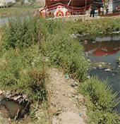 Pulluted water from a sewage water pit mixes with the Bein rivulet via a channel dug at Bhulath in Kapurthala where residents were to take a holy dip during a two-day Baisakhi mela that began on Wednesday. 