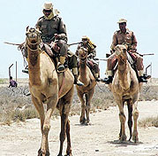 BSF jawans patrol the Indo-Pak border at Vigicot in the Kutch area of Gujarat on Thursday.