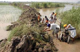 Farmers of Chak Patti Balu Bahadur village in Sultanpur Lodhi try to dig out the engine of a tubewell from the waters of the Beas