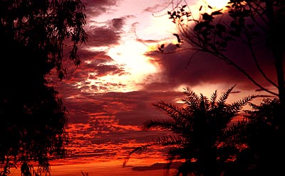 The dusk slowly seems to slip into the quietness of night at Patiala on Tuesday