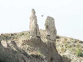 A denuded hill in the catchment area of the Ropar wetlands.