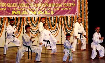 A karate demonstration on at the mountaineering institute in Manali on Tuesday