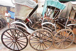 Tana rickshaw-pullers will now drive autorickshaws