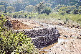 A retaining wall has been raised in a seasonal rivulet to protect a particular piece of land in Karoran village.