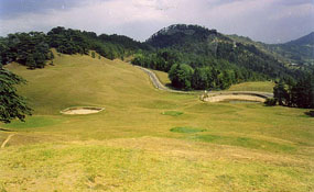A view of the Naldehra golf course.