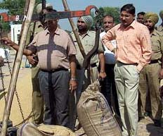 The Deputy Commissioner, Mr Rahul Bhandari, checks weighing of paddy at Jandawala village, near Bathinda