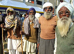 World War II veterans at the War Veterans Meet on the occasion of Vijay Divas in Bathinda on Friday.
