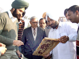 Mr Kuldeep Rai (centre), national-level monitor from the Union Ministry of Rural Development, and ADC Gurkirat Kirpal Singh (left) interact with a jail inmate engaged in bee-keeping in Central Jail, Bathinda.