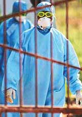 Veterinarians wearing protective gears arrive at an empty poultry farm which was affected with bird flu in Navapur village, about 400 km north of Mumbai, on Sunday.