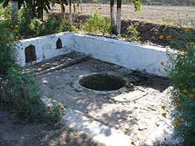 The bauli in Dhanoa village was the source of the Kali Bein river.