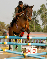 Naib Subedar Malchand Bishnoi clears an obstacle at the Asian Show Jumping Challenge in Chandigarh on Tuesday