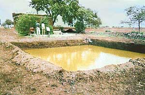 A pond dug in a field in Gujarat to harvest rainwater