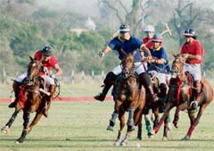 Riders put their steeds through their paces during a polo match between Taragarh team (red) and a joint Patiala and Sehgal Stud Farms team (blue) in Patiala