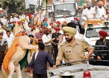 A horse dances to welcome the Vikas Yatra of Punjab Chief Minister Amarinder Singh at Nihal Singh Wala village in Moga on Friday.