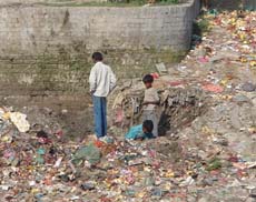 Minor children glean in a hazardous waste dump in Amritsar. 