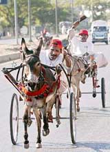 A traditional donkey cart race in progress during the Hamara Karachi festival
