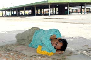 A labourer catches a wink at grain market in Jalandhar on Wednesday. 