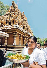 Sri Lankan captain Mahela Jayawardene�s mother Sunila carries a tray of fruits and flowers as an offering to Hindu gods during a special religious ceremony in Colombo.