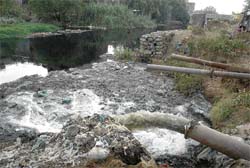 Effluents being thrown into Budda Nullah in Madhopuri in Ludhiana. 