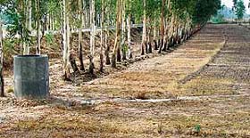 The laying of pipelines for the water project is far from complete