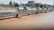 The Sidhwan canal flowing up to the brim in Ludhiana.