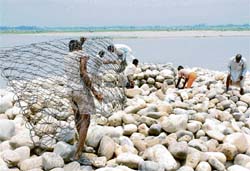 Workers busy in stone studding on the banks of the Yamuna at Kunda Kalan in Karnal.