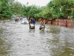 Not an unusual scene on a rainy day in Sirsa.