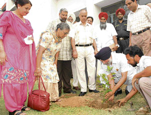 Former Samana MLA Surjit Singh Rakhra and divisional commissioner S.K. Ahluwalia plant a sapling at Government College of Girls, Patiala, on Friday.