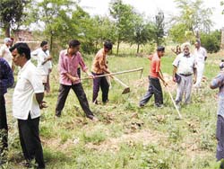 Students join the weed eradication campaign to fight the mealy-bug menace in Abohar area.