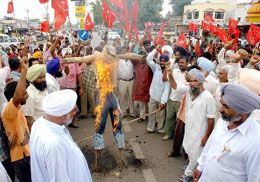 CPM workers burn the effigy of Andra Pradesh Chief Minister in Rajpura on Monday.