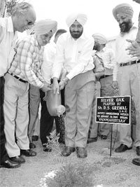 Patiala district commissioner D.S. Grewal plant a tree during Van Mahotsav at Government Mohindra College in Patiala, on Wednesday.