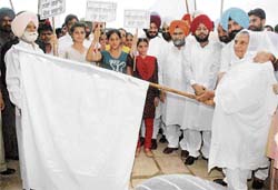 Jaswant Kaur, wife of late Beant Singh, flags off an anti-drug rally in Chandigarh 