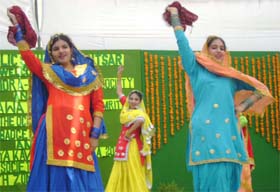 A gidha performance by DPS students
