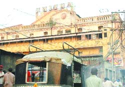 Wiil they survive the onslaught?