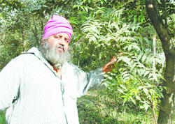 Baba Harcharanjit Singh has single-handedly developed a 12-acre farm to produce saplings of various plants.