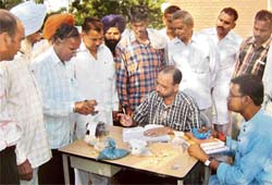 Officials of a non-government organisation collect indigenous seeds at Hardo Nek Nama village, near Dasuya, on Sunday