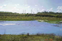 Industrial units continue to discharge fly ash into the Sutlej at Nangal