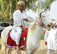Rajya Sabha member Dr Narain Singh at the �ghorean di mandi� (horse fair) in Muktsar.