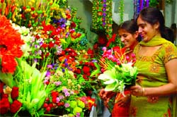 Say it with flowers: Women admire flowers at a shop in Bathinda on Monday. 